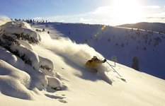 ski Vail