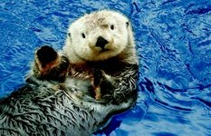 Vancouver Aquarium