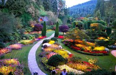 Butchart Gardens in Victoria