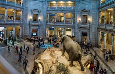 Smithsonian National Museum of Natural History Museum