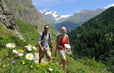 Hiking near Zermatt