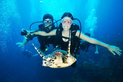 Diving in Acapulco