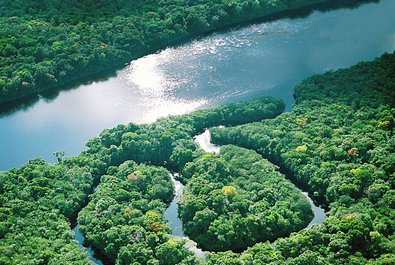 Jaú National Park