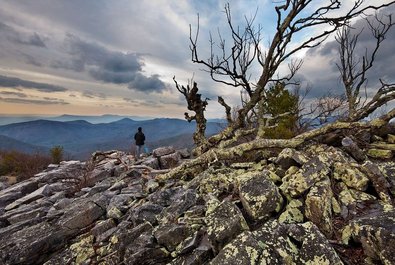 Shenandoah National Park, Virginia