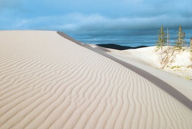 Oregon Dunes