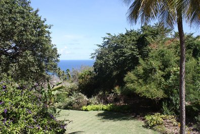 Andromeda Gardens