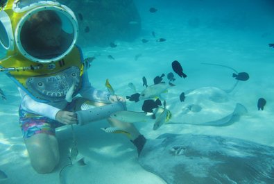 Under the sea