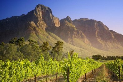 Stellenbosch -- Cape Wineland