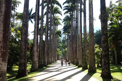 Jardim Botânico