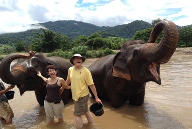 Elephant Nature Park