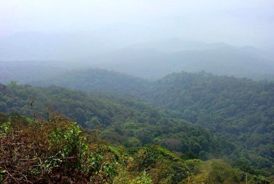 Doi Suthep