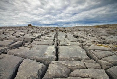 Burren