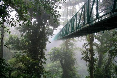 Monteverde Cloud Forest