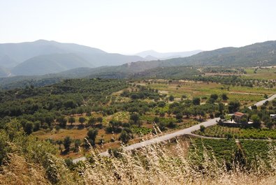 Lasithi Plateau