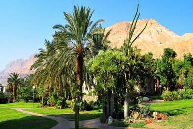 Ein Gedi Kibbutz