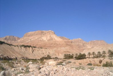 Ein Gedi Nature Reserve