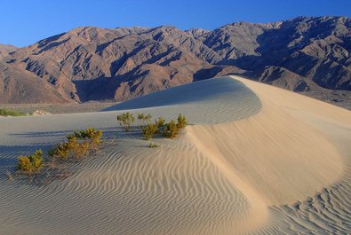 Sand Dunes