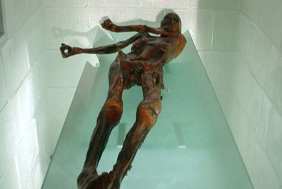 Ötzi: 5,000 year-old frozen mummy