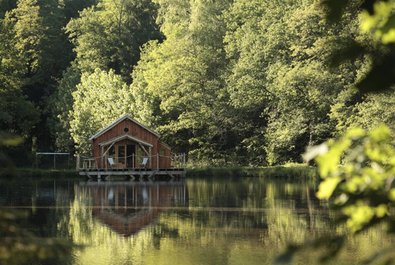 Perigord forests