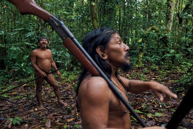 Yasuni National Park