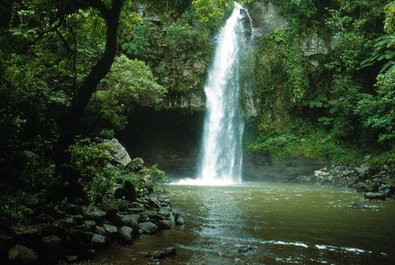 Taveuni Island