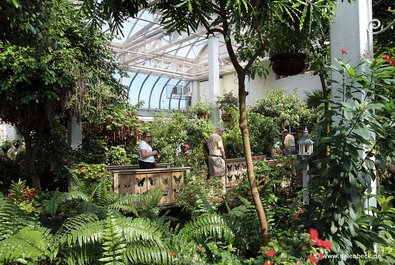 Key West Butterfly and Nature Conservatory