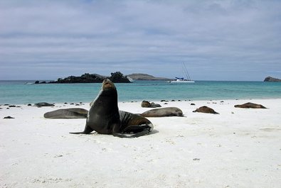 Española Island