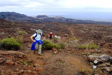 Hiking