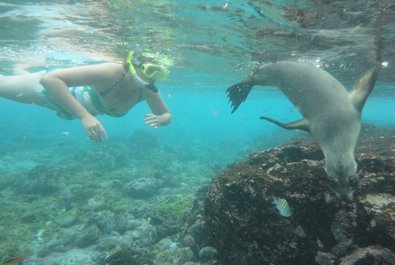 Snorkeling