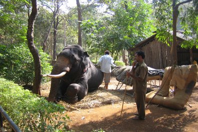 Bondla Wildlife Sanctuary