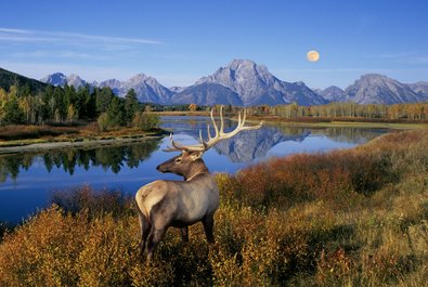 Scenic drive, wildlife watch