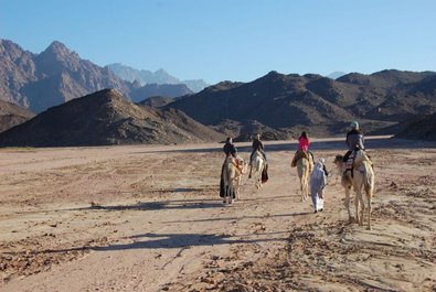 Camel riding