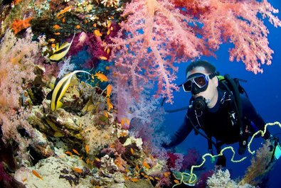 Diving and snorkeling