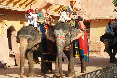 Elephant ride to Amer Fort