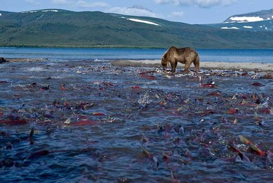 Kurile Lake