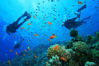 Diving in Ang Thong Marine Park