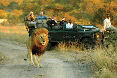 Jeep Safari