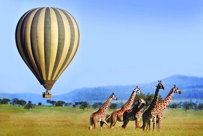 Hot Air Balloon Ride