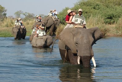 Elephant-back Safari