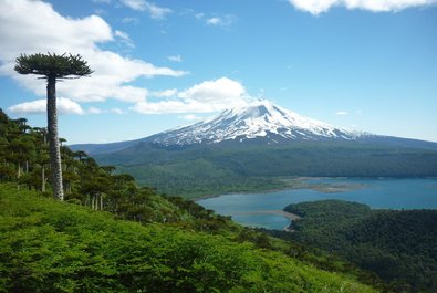 Llaima Volcano and Conguillío National Park