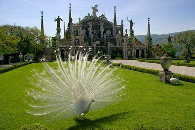 Gardens of Isola Madre