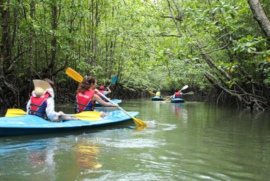 Boat tours