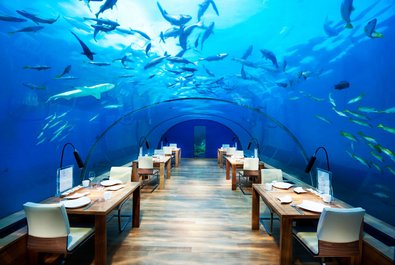 Ithaa undersea restaurant