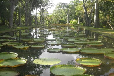 SSR Botanical Garden