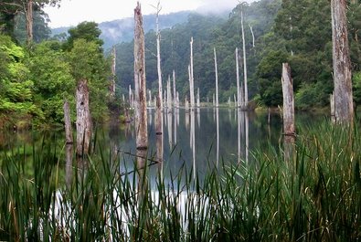 Lake Elizabeth