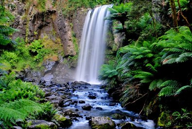 Otway National Park