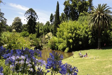 Royal Botanic Gardens