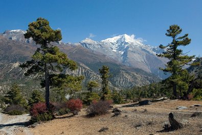 Annapurna Circuit