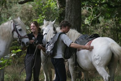 Horseback Riding