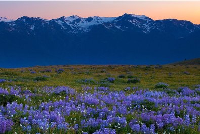 Hurricane Ridge